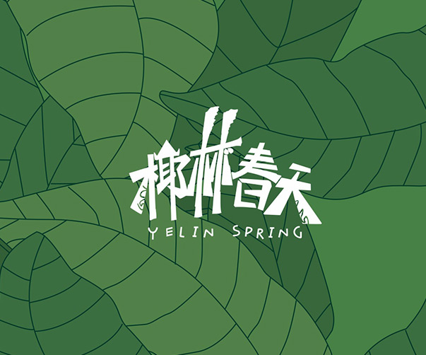 引領行業發展的創新設計,品牌設計的成功案例分析