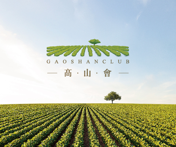 私募之無限暢想：投資公司Logo設計與無限大元素的完美融合