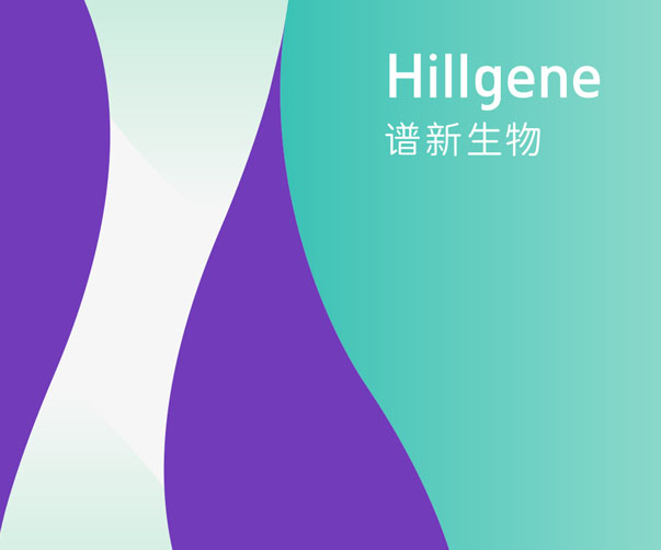 塑造內衣品牌設計的行業差異化：實現市場脫穎而出的關鍵